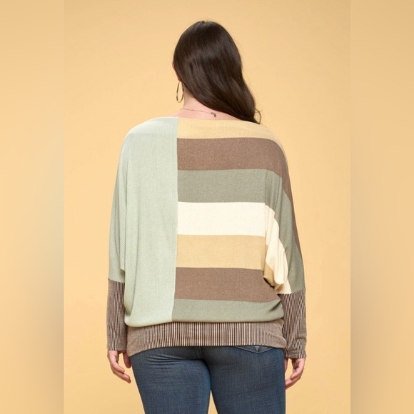 Ms. Diva Plus.. Sage..Khaki..Leopard Color Block Top - Picture 5 of 5